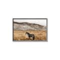 Picture of Mustard Grass Horse _GroupedProduct_Rectangle_Landscape_Photography _GroupedProduct_Rectangle_Landscape_Canvas_Framed_