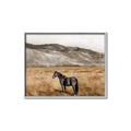 Picture of Mustard Grass Horse _GroupedProduct_Rectangle_Landscape_Photography _GroupedProduct_Rectangle_Landscape_Canvas_Framed_