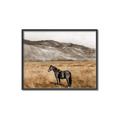 Picture of Mustard Grass Horse _GroupedProduct_Rectangle_Landscape_Photography _GroupedProduct_Rectangle_Landscape_Canvas_Framed_