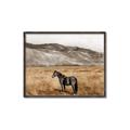 Picture of Mustard Grass Horse _GroupedProduct_Rectangle_Landscape_Photography _GroupedProduct_Rectangle_Landscape_Canvas_Framed_