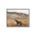 Picture of Mustard Grass Horse _GroupedProduct_Rectangle_Landscape_Photography _GroupedProduct_Rectangle_Landscape_Canvas_Framed_