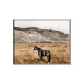 Picture of Mustard Grass Horse _GroupedProduct_Rectangle_Landscape_Photography _GroupedProduct_Rectangle_Landscape_Canvas_Framed_