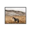 Picture of Mustard Grass Horse _GroupedProduct_Rectangle_Landscape_Photography _GroupedProduct_Rectangle_Landscape_Canvas_Framed_