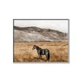Picture of Mustard Grass Horse _GroupedProduct_Rectangle_Landscape_Photography _GroupedProduct_Rectangle_Landscape_Canvas_Framed_