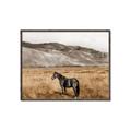 Picture of Mustard Grass Horse _GroupedProduct_Rectangle_Landscape_Photography _GroupedProduct_Rectangle_Landscape_Canvas_Framed_