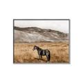 Picture of Mustard Grass Horse _GroupedProduct_Rectangle_Landscape_Photography _GroupedProduct_Rectangle_Landscape_Canvas_Framed_