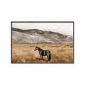 Picture of Mustard Grass Horse _GroupedProduct_Rectangle_Landscape_Photography _GroupedProduct_Rectangle_Landscape_Canvas_Framed_