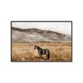 Picture of Mustard Grass Horse _GroupedProduct_Rectangle_Landscape_Photography _GroupedProduct_Rectangle_Landscape_Canvas_Framed_