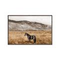 Picture of Mustard Grass Horse _GroupedProduct_Rectangle_Landscape_Photography _GroupedProduct_Rectangle_Landscape_Canvas_Framed_