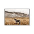 Picture of Mustard Grass Horse _GroupedProduct_Rectangle_Landscape_Photography _GroupedProduct_Rectangle_Landscape_Canvas_Framed_