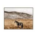 Picture of Mustard Grass Horse _GroupedProduct_Rectangle_Landscape_Photography _GroupedProduct_Rectangle_Landscape_Canvas_Framed_
