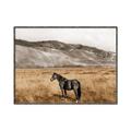 Picture of Mustard Grass Horse _GroupedProduct_Rectangle_Landscape_Photography _GroupedProduct_Rectangle_Landscape_Canvas_Framed_