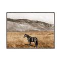 Picture of Mustard Grass Horse _GroupedProduct_Rectangle_Landscape_Photography _GroupedProduct_Rectangle_Landscape_Canvas_Framed_