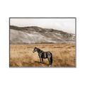 Picture of Mustard Grass Horse _GroupedProduct_Rectangle_Landscape_Photography _GroupedProduct_Rectangle_Landscape_Canvas_Framed_