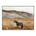 Picture of Mustard Grass Horse _GroupedProduct_Rectangle_Landscape_Photography _GroupedProduct_Rectangle_Landscape_Canvas_Framed_