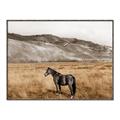 Picture of Mustard Grass Horse _GroupedProduct_Rectangle_Landscape_Photography _GroupedProduct_Rectangle_Landscape_Canvas_Framed_