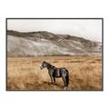 Picture of Mustard Grass Horse _GroupedProduct_Rectangle_Landscape_Photography _GroupedProduct_Rectangle_Landscape_Canvas_Framed_