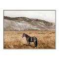 Picture of Mustard Grass Horse _GroupedProduct_Rectangle_Landscape_Photography _GroupedProduct_Rectangle_Landscape_Canvas_Framed_
