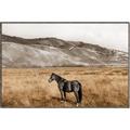 Picture of Mustard Grass Horse _GroupedProduct_Rectangle_Landscape_Photography _GroupedProduct_Rectangle_Landscape_Canvas_Framed_