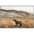 Picture of Mustard Grass Horse _GroupedProduct_Rectangle_Landscape_Photography _GroupedProduct_Rectangle_Landscape_Canvas_Framed_