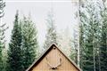 Picture of Forest Cabin _GroupedProduct_Rectangle_Landscape_Photography _GroupedProduct_Rectangle_Landscape_Unframed_Print_Only_