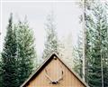 Picture of Forest Cabin _GroupedProduct_Rectangle_Landscape_Photography _GroupedProduct_Rectangle_Landscape_Unframed_Print_Only_
