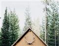 Picture of Forest Cabin _GroupedProduct_Rectangle_Landscape_Photography _GroupedProduct_Rectangle_Landscape_Unframed_Print_Only_