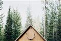 Picture of Forest Cabin _GroupedProduct_Rectangle_Landscape_Photography _GroupedProduct_Rectangle_Landscape_Unframed_Print_Only_