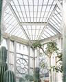 Picture of Tropical Greenhouse lll _GroupedProduct_Rectangle_Portrait_Photography _GroupedProduct_Rectangle_Portrait_Unframed_Print_Only_