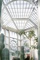 Picture of Tropical Greenhouse lll _GroupedProduct_Rectangle_Portrait_Photography _GroupedProduct_Rectangle_Portrait_Unframed_Print_Only_