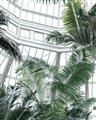 Picture of Tropical Greenhouse ll _GroupedProduct_Rectangle_Portrait_Photography _GroupedProduct_Rectangle_Portrait_Unframed_Print_Only_
