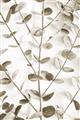 Picture of Eucalyptus Vine _GroupedProduct_Rectangle_Portrait_Photography _GroupedProduct_Rectangle_Portrait_Unframed_Print_Only_