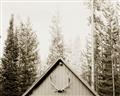 Picture of Forest Cabin _GroupedProduct_Rectangle_Landscape_Photography _GroupedProduct_Rectangle_Landscape_Unframed_Print_Only_