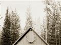 Picture of Forest Cabin _GroupedProduct_Rectangle_Landscape_Photography _GroupedProduct_Rectangle_Landscape_Unframed_Print_Only_