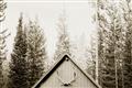 Picture of Forest Cabin _GroupedProduct_Rectangle_Landscape_Photography _GroupedProduct_Rectangle_Landscape_Unframed_Print_Only_