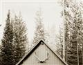 Picture of Forest Cabin _GroupedProduct_Rectangle_Landscape_Photography _GroupedProduct_Rectangle_Landscape_Unframed_Print_Only_