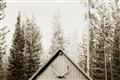 Picture of Forest Cabin _GroupedProduct_Rectangle_Landscape_Photography _GroupedProduct_Rectangle_Landscape_Unframed_Print_Only_
