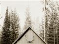 Picture of Forest Cabin _GroupedProduct_Rectangle_Landscape_Photography _GroupedProduct_Rectangle_Landscape_Unframed_Print_Only_