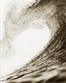 Picture of The Wave _GroupedProduct_Rectangle_Portrait_Photography _GroupedProduct_Rectangle_Portrait_Unframed_Print_Only_