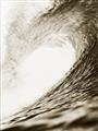 Picture of The Wave _GroupedProduct_Rectangle_Portrait_Photography _GroupedProduct_Rectangle_Portrait_Unframed_Print_Only_