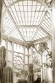 Picture of Tropical Greenhouse lll _GroupedProduct_Rectangle_Portrait_Photography _GroupedProduct_Rectangle_Portrait_Unframed_Print_Only_