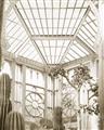Picture of Tropical Greenhouse lll _GroupedProduct_Rectangle_Portrait_Photography _GroupedProduct_Rectangle_Portrait_Unframed_Print_Only_