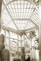 Picture of Tropical Greenhouse lll _GroupedProduct_Rectangle_Portrait_Photography _GroupedProduct_Rectangle_Portrait_Unframed_Print_Only_