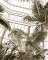 Picture of Tropical Greenhouse ll _GroupedProduct_Rectangle_Portrait_Photography _GroupedProduct_Rectangle_Portrait_Unframed_Print_Only_