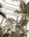 Picture of Tropical Greenhouse ll _GroupedProduct_Rectangle_Portrait_Photography _GroupedProduct_Rectangle_Portrait_Unframed_Print_Only_