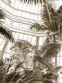 Picture of Tropical Greenhouse ll _GroupedProduct_Rectangle_Portrait_Photography _GroupedProduct_Rectangle_Portrait_Unframed_Print_Only_