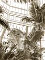 Picture of Tropical Greenhouse ll _GroupedProduct_Rectangle_Portrait_Photography _GroupedProduct_Rectangle_Portrait_Unframed_Print_Only_