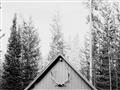 Picture of Forest Cabin _GroupedProduct_Rectangle_Landscape_Photography _GroupedProduct_Rectangle_Landscape_Unframed_Print_Only_