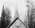 Picture of Forest Cabin _GroupedProduct_Rectangle_Landscape_Photography _GroupedProduct_Rectangle_Landscape_Unframed_Print_Only_