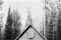 Picture of Forest Cabin _GroupedProduct_Rectangle_Landscape_Photography _GroupedProduct_Rectangle_Landscape_Unframed_Print_Only_